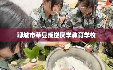 聊城市莘县叛逆厌学教育学校