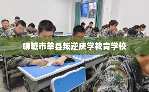 聊城市莘县叛逆厌学教育学校
