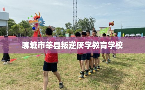 聊城市莘县叛逆厌学教育学校