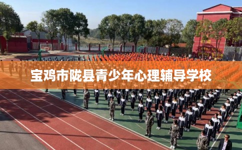 宝鸡市陇县青少年心理辅导学校