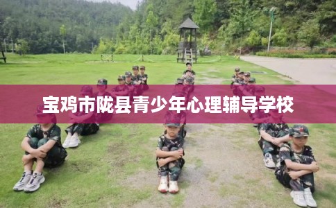 宝鸡市陇县青少年心理辅导学校