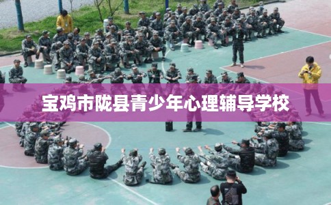 宝鸡市陇县青少年心理辅导学校