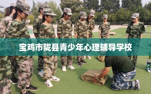 宝鸡市陇县青少年心理辅导学校