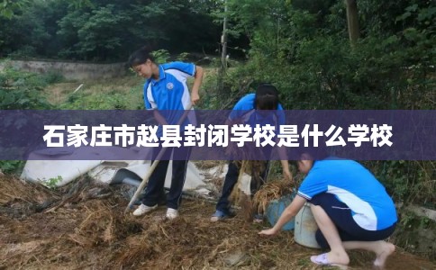 石家庄市赵县封闭学校是什么学校