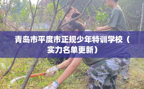 青岛市平度市正规少年特训学校（实力名单更新）