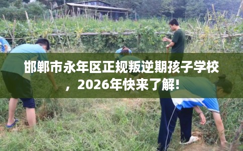 邯郸市永年区正规叛逆期孩子学校，2026年快来了解!