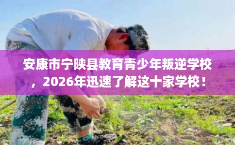 安康市宁陕县教育青少年叛逆学校，2026年迅速了解这十家学校！