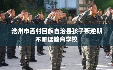 沧州市孟村回族自治县孩子叛逆期不听话教育学校 沧州市孟村回族自治县孩子叛逆期不听话教育学校