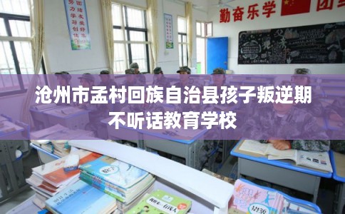 沧州市孟村回族自治县孩子叛逆期不听话教育学校 沧州市孟村回族自治县孩子叛逆期不听话教育学校