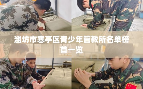 潍坊市寒亭区青少年管教所名单榜首一览