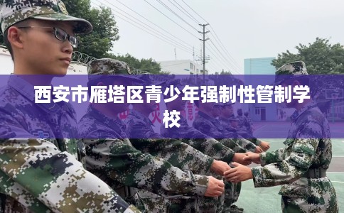 西安市雁塔区青少年强制性管制学校