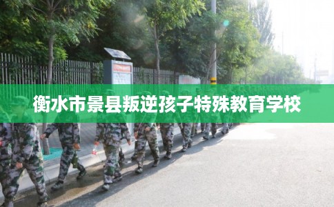 衡水市景县叛逆孩子特殊教育学校 衡水市景县叛逆孩子特殊教育学校