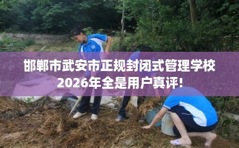 邯郸市武安市正规封闭式管理学校2026年全是用户真评!