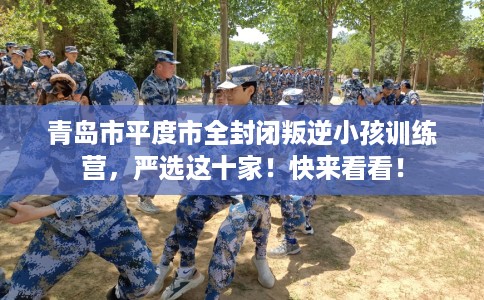 青岛市平度市全封闭叛逆小孩训练营，严选这十家！快来看看！