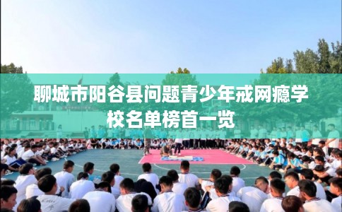 聊城市阳谷县问题青少年戒网瘾学校名单榜首一览