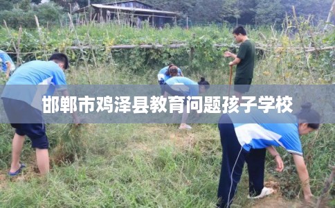 邯郸市鸡泽县教育问题孩子学校 邯郸市鸡泽县教育问题孩子学校