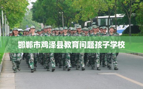 邯郸市鸡泽县教育问题孩子学校