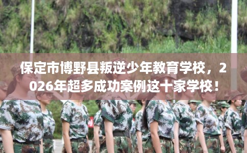 保定市博野县叛逆少年教育学校，2026年超多成功案例这十家学校！