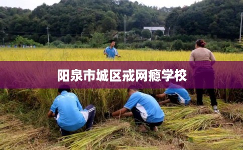 阳泉市城区戒网瘾学校