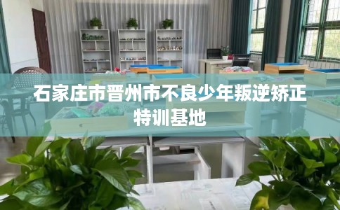 石家庄市晋州市不良少年叛逆矫正特训基地