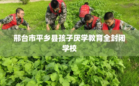 邢台市平乡县孩子厌学教育全封闭学校