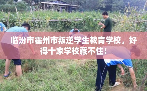 临汾市霍州市叛逆学生教育学校,好得十家学校藏不住! 临汾市霍州市叛逆学生教育学校,好得十家学校藏不住!