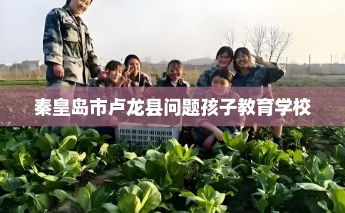 秦皇岛市卢龙县问题孩子教育学校