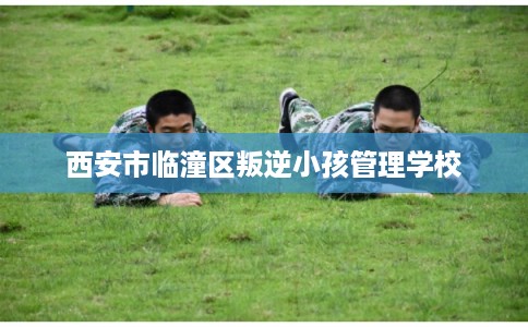 西安市临潼区叛逆小孩管理学校 西安市临潼区叛逆小孩管理学校
