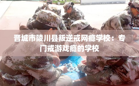 晋城市陵川县叛逆戒网瘾学校:专门戒游戏瘾的学校 晋城市陵川县叛逆戒网瘾学校:专门戒游戏瘾的学校