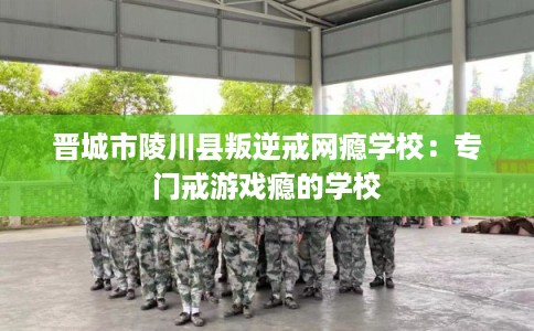 晋城市陵川县叛逆戒网瘾学校:专门戒游戏瘾的学校 晋城市陵川县叛逆戒网瘾学校:专门戒游戏瘾的学校