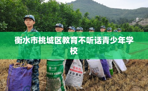 衡水市桃城区教育不听话青少年学校 衡水市桃城区教育不听话青少年学校