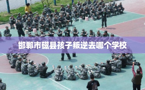 邯郸市磁县孩子叛逆去哪个学校