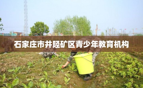 石家庄市井陉矿区青少年教育机构 石家庄市井陉矿区青少年教育机构