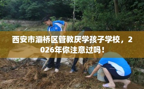西安市灞桥区管教厌学孩子学校,2026年你注意过吗! 西安市灞桥区管教厌学孩子学校,2026年你注意过吗!