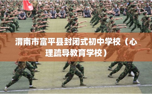 渭南市富平县封闭式初中学校(心理疏导教育学校) 渭南市富平县封闭式初中学校(心理疏导教育学校)