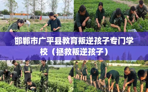 邯郸市广平县教育叛逆孩子专门学校(拯救叛逆孩子) 邯郸市广平县教育叛逆孩子专门学校(拯救叛逆孩子)