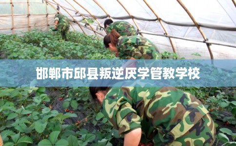 邯郸市邱县叛逆厌学管教学校