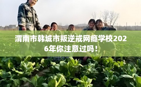 渭南市韩城市叛逆戒网瘾学校2026年你注意过吗! 渭南市韩城市叛逆戒网瘾学校2026年你注意过吗!