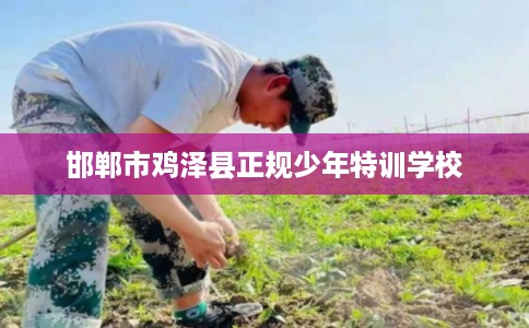 邯郸市鸡泽县正规少年特训学校
