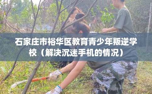 石家庄市裕华区教育青少年叛逆学校(解决沉迷手机的情况) 石家庄市裕华区教育青少年叛逆学校(解决沉迷手机的情况)