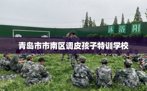 青岛市市南区调皮孩子特训学校
