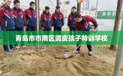 青岛市市南区调皮孩子特训学校