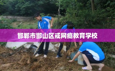 邯郸市邯山区戒网瘾教育学校
