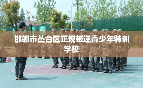 邯郸市丛台区正规叛逆青少年特训学校