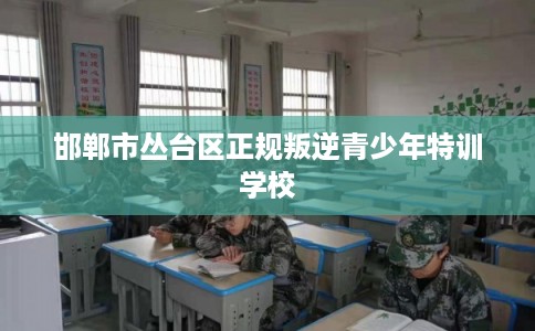 邯郸市丛台区正规叛逆青少年特训学校