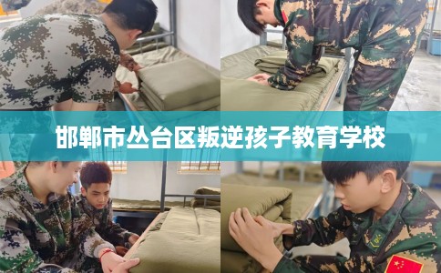 邯郸市丛台区叛逆孩子教育学校