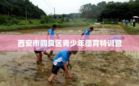 西安市阎良区青少年德育特训营 西安市阎良区青少年德育特训营