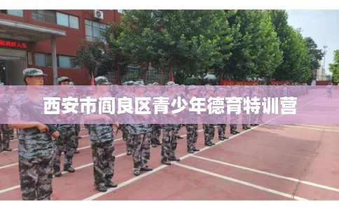 西安市阎良区青少年德育特训营