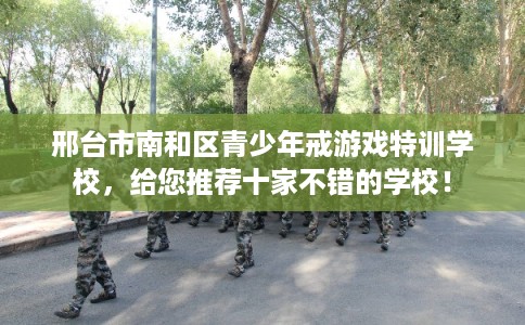 邢台市南和区青少年戒游戏特训学校，给您推荐十家不错的学校！