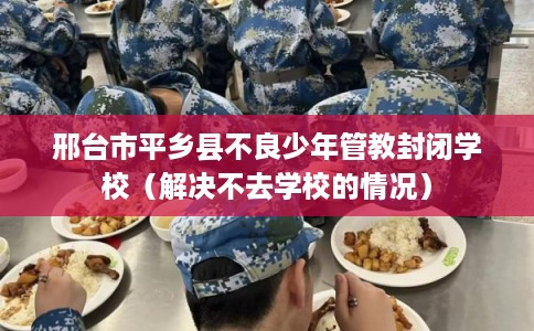 邢台市平乡县不良少年管教封闭学校(解决不去学校的情况) 邢台市平乡县不良少年管教封闭学校(解决不去学校的情况)